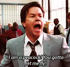 I am a peacock! You gotta let me fly!