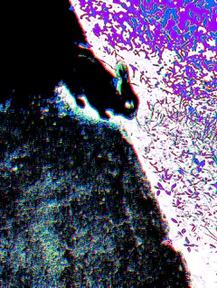 glitchy cat silhouette