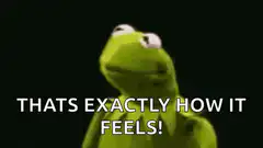 Kermit Thats Exactly How It Feels