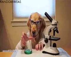 Dog scientist examining green liquid