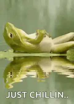 Green frog just chillin