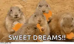 prairie dogs eating sweet potatoes