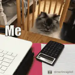 Me calculating crypto tax