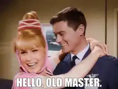 Hello Old Master Barbara Eden