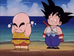 Krillin crying on the beach