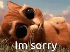Big Eyes Cat I'm Sorry