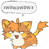 Crying orange cat wawawawa