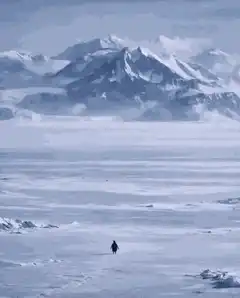 lone figure walking across snowy landscape