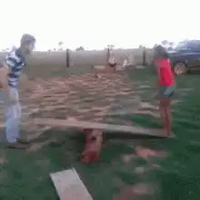 Kids playing on a wooden plank seesaw