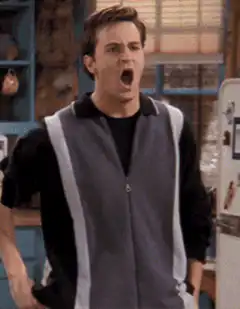 Chandler Bing I Knew It