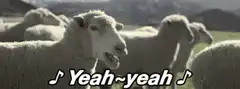 Sheep singing yeah yeah