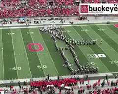 Marching band forms buckeye on field