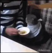 Cat eating from a bowl with a spoon