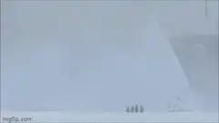 penguins stranded by ship