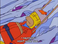 Homer Simpson mutters in snow