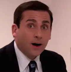 Michael Scott shocked face