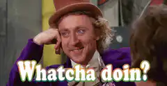 Willy Wonka Whatcha Doin