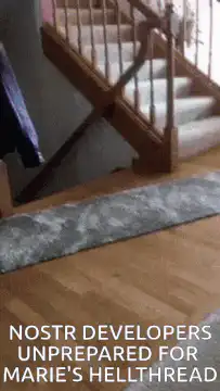 Two dogs running past stairs