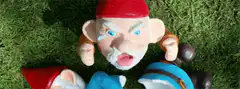 Angry garden gnome lying on grass