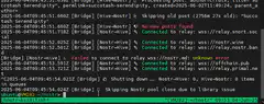 Nostr Bridge Node Terminal Logs
