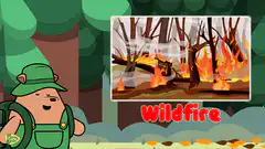 Beaver Wildfire Lesson