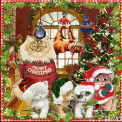 Christmas cats with Merry Christmas text