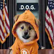 Dogecoin Dog in Hoodie