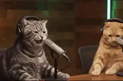 Two cats singing into microphones