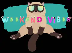 Cool cat with weekend vibes