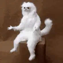 White cat sitting and waving