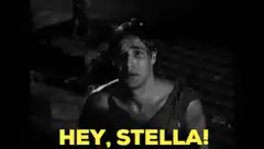 Hey Stella! Man screaming