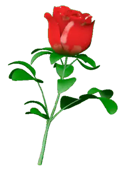3D animated red rose
