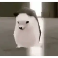 Dancing hedgehog