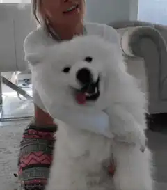 woman hugging fluffy white dog