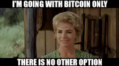 I'm going with Bitcoin only, there is no other option