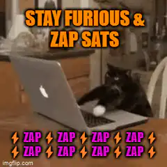 Stay Furious and Zap Sats Cat