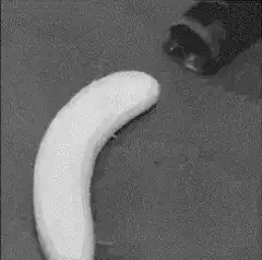 Banana being sucked into a vacuum