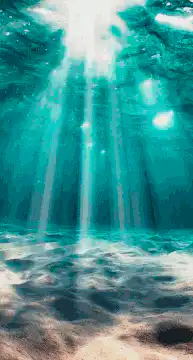 sunlight underwater
