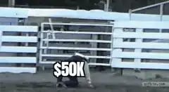 Bull chasing man with increasing BTC value