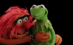 Animal hugging Kermit the Frog