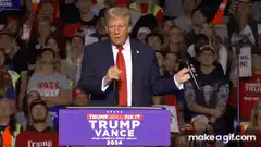 Donald Trump speaking at a rally