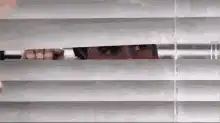 Man peeking through window blinds