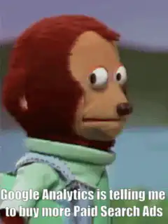 Monkey Puppet Google Analytics Paid Search Ads