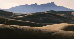 Tumbleweed rolling across desert dunes