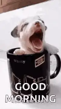 Cute puppy yawning in a mug
