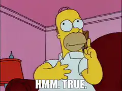 Homer Simpson thinking HMM TRUE