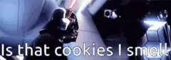 Darth Vader Is that cookies I smell