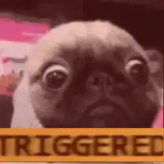 Triggered Pug Meme