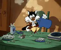 Wile E. Coyote pouring coffee