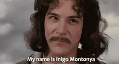 Inigo Montoya My name is Inigo Montoya